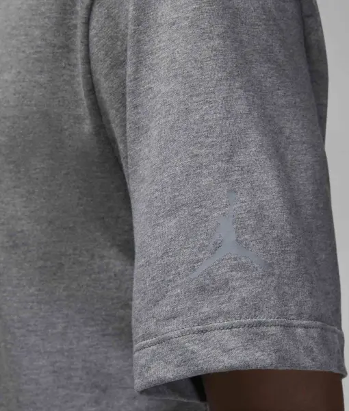 Футболка Nike JORDAN BRAND серая FN5980-091