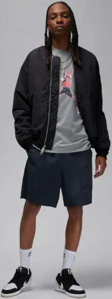 Футболка Nike JORDAN BRAND серая FN5980-091