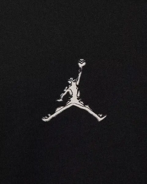 Футболка Nike JORDAN SPORT DRI-FIT черная HQ8970-010