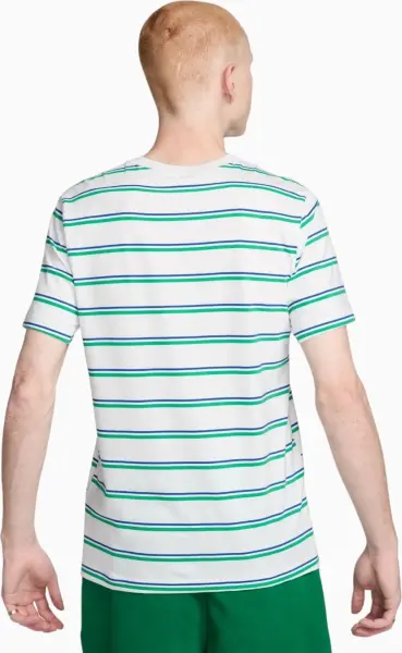 Футболка Nike SPORTSWEAR CLUB STRIPE бело-зелено-синяя DZ2985-094