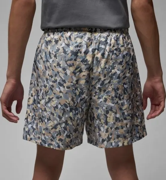 Шорты Nike JORDAN ESSENTIALS POOLSIDE разноцветные FN4635-133