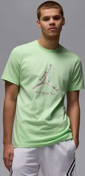 Футболка Nike JORDAN SPORT DRI-FIT светло-зеленая HQ7984-376