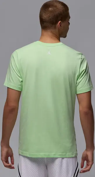 Футболка Nike JORDAN SPORT DRI-FIT светло-зеленая HQ7984-376