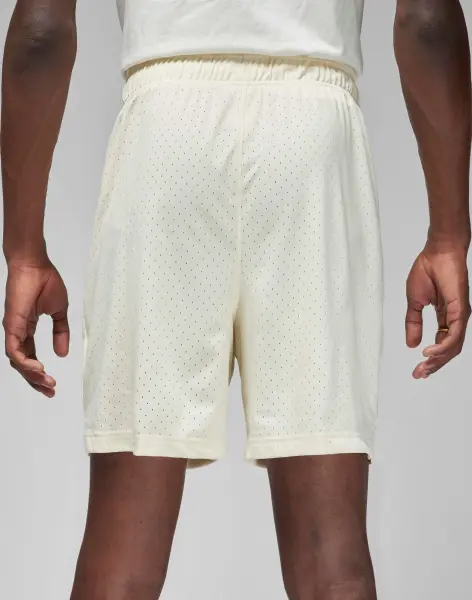 Шорти баскетбольні Nike JORDAN SPORT MEN'S DRI-FIT MESH SHORTS кремові FN5816-113