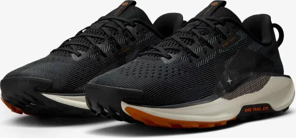 Кроссовки для трейлраннинга Nike REACTX PEGASUS TRAIL 5 черно-коричневые DV3864-006