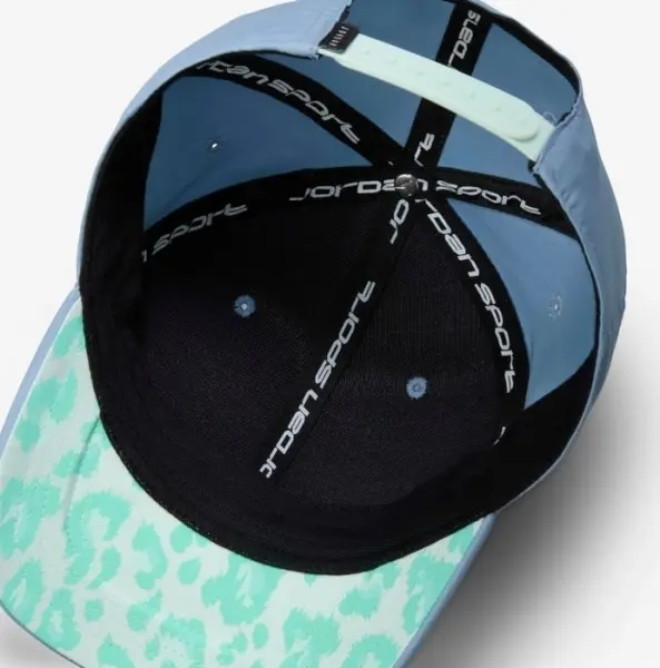 Кепка Nike JORDAN RISE GOLF CAP голубая FV5295-436