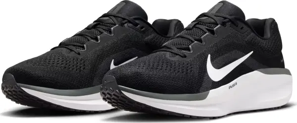Кросівки бігові Nike AIR WINFLO 11 чорно-білі FJ9509-001