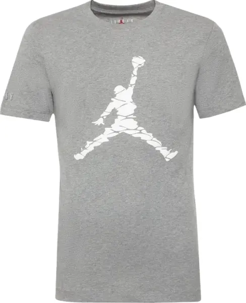 Футболка Nike JORDAN ESSENTIALS серая DX9581-091
