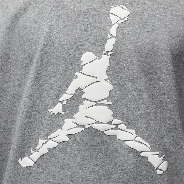 Футболка Nike JORDAN ESSENTIALS серая DX9581-091