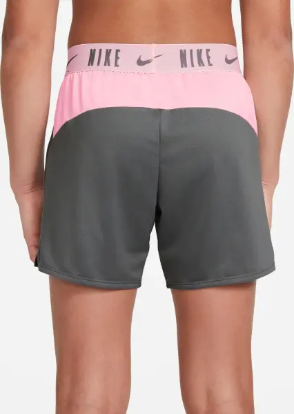 Шорти підліткові Nike DRI-FIT TROPHY 15CM сіро-світло-рожеві DA1099-086