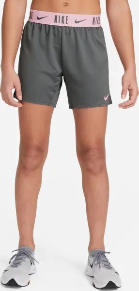Шорти підліткові Nike DRI-FIT TROPHY 15CM сіро-світло-рожеві DA1099-086