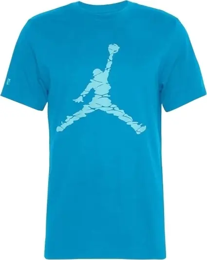 Футболка Nike JORDAN ESSENTIALS голубая DX9581-483