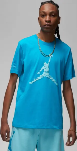 Футболка Nike JORDAN ESSENTIALS голубая DX9581-483