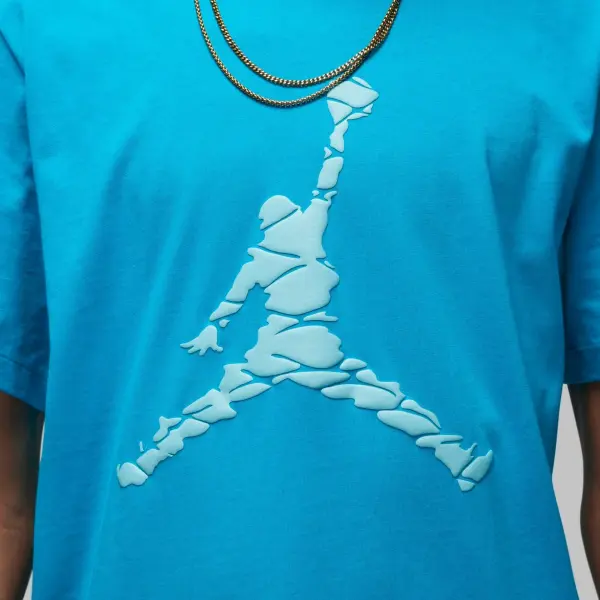 Футболка Nike JORDAN ESSENTIALS голубая DX9581-483