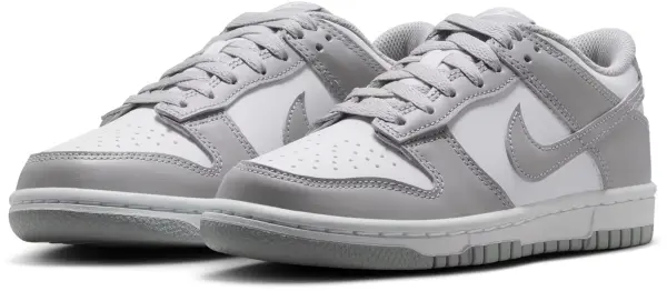 Кросівки підліткові Nike DUNK LOW (GS) сіро-білі FB9109-123