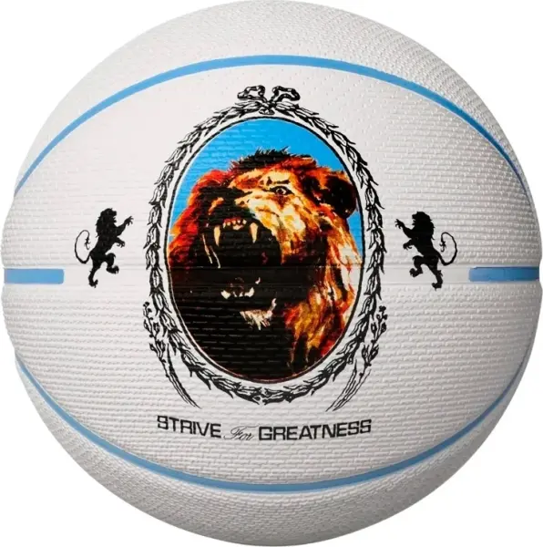 Баскетбольный мяч Nike PLAYGROUND 2.0 8P L JAMES DEFLATED бело-голубой Размер 7 N.100.4372.086.07