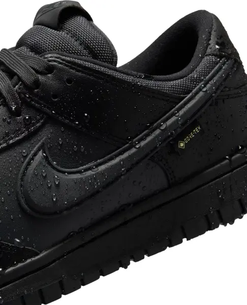Кросівки Nike DUNK LOW GORE-TEX чорні HQ2053-001