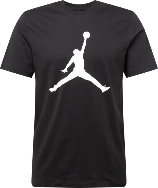 Футболка Nike JORDAN черно-белая IF5568-010