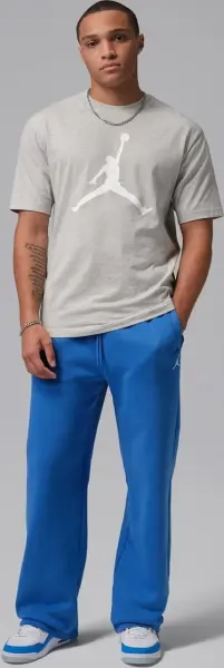 Футболка Nike JORDAN серо-белая IF5568-050