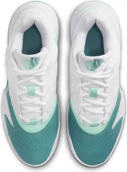 Кросівки тенісні жіночі Nike COURT LITE 4 біло-м'ятно-темно-зелені FD6575-107