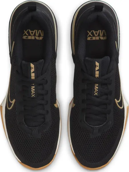 Кросівки для тренувань Nike AIR MAX ALPHA TRAINER 6 чорно-золоті FQ1833-012