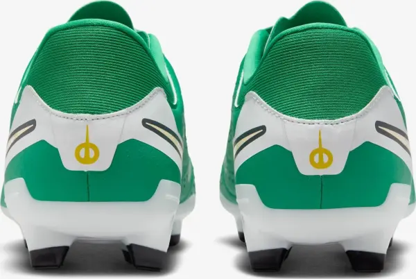 Бутси Nike TIEMPO LEGEND 10 ACADEMY FG LV8 зелено-білі HJ7268-300