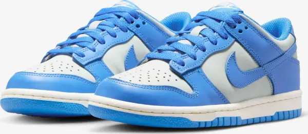 Кроссовки подростковые Nike DUNK LOW (GS) голубо-светло-серые FB9109-004