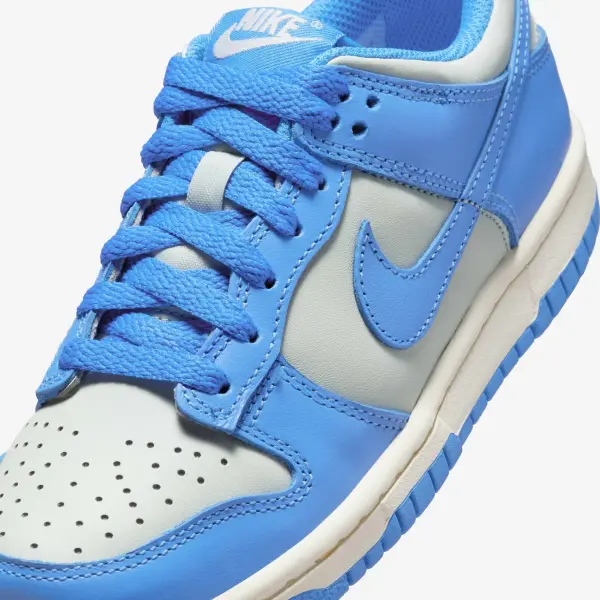 Кроссовки подростковые Nike DUNK LOW (GS) голубо-светло-серые FB9109-004