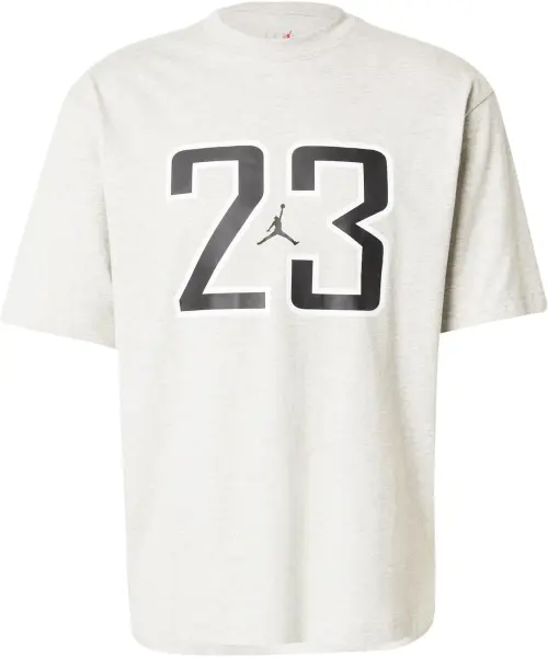 Футболка Nike JORDAN BROOKLYN серая HQ9028-050