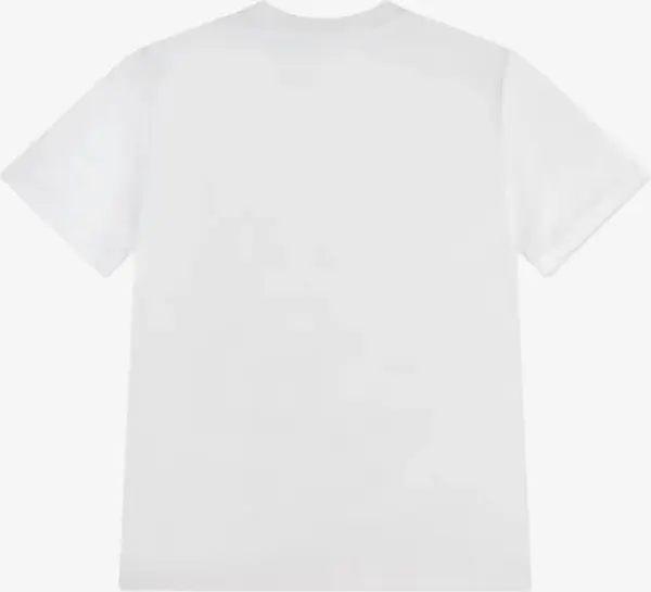 Футболка подростковая Nike PRACTICE TEE PSG белая 95F539-001