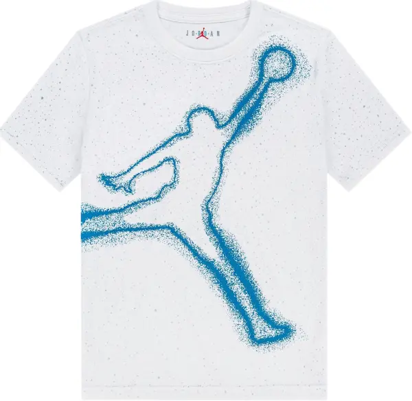 Футболка подростковая Nike JORDAN BRAND бело-голубая 95F599-001