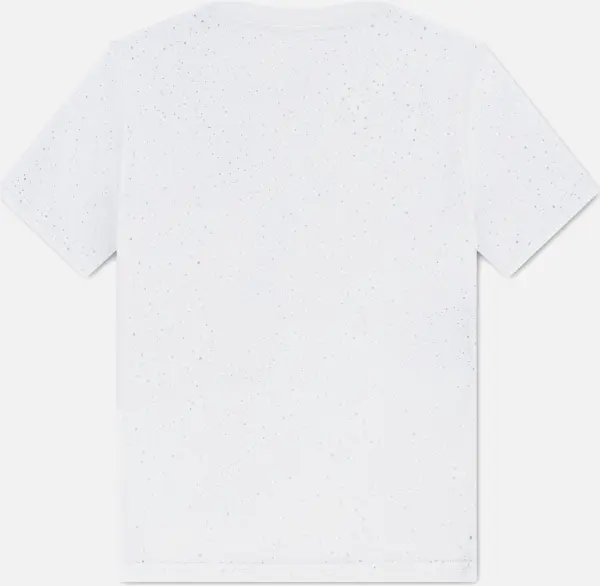 Футболка подростковая Nike JORDAN BRAND бело-голубая 95F599-001