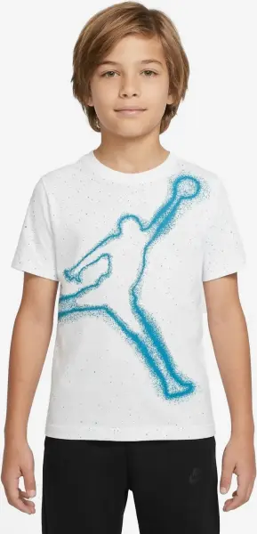 Футболка подростковая Nike JORDAN BRAND бело-голубая 95F599-001