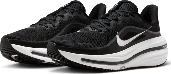 Кроссовки беговые Nike WINFLO 12 черно-белые HV9272-002
