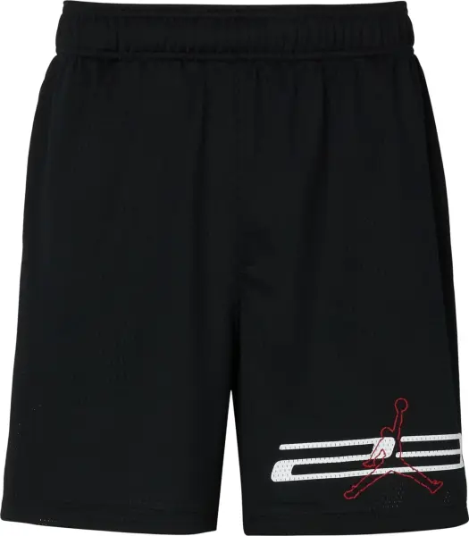 Шорты Nike JORDAN DRI-FIT MESH GRAPHIC черные IF0872-010