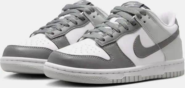 Кросівки підліткові Nike DUNK LOW (GS) сіро-білі IQ0804-102