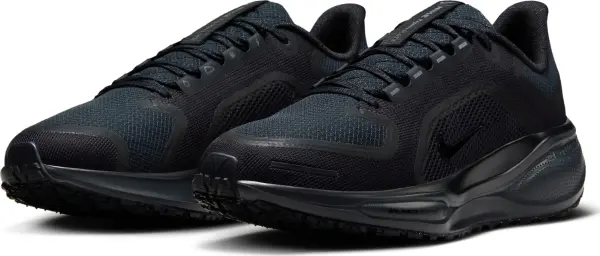 Кросівки бігові жіночі Nike PEGASUS 41 GORE-TEX WATERPROOF чорні FQ1357-001