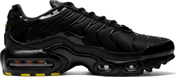 Кроссовки подростковые Nike AIR MAX PLUS (GS) черные CD0609-001