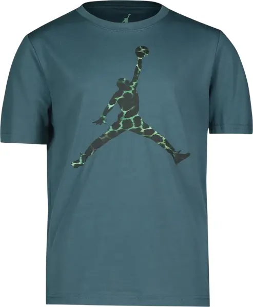 Футболка подростковая Nike JORDAN FILL темно-зеленая 95G009-EA0