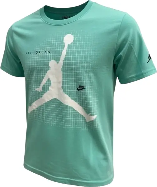 Футболка подростковая Nike JORDAN JUMPMAN GRID BLUR мятная 95F634-G11