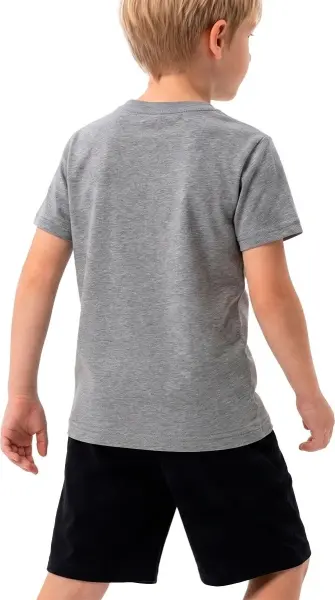 Футболка подростковая Nike JORDAN SPORT DRI-FIT CORE серая 95D618-GEH