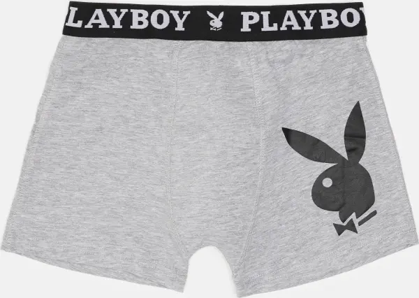 Трусы (боксерки) Playboy ANNYA PLAYBOY BOXERSHORT серые ANNYA-0203