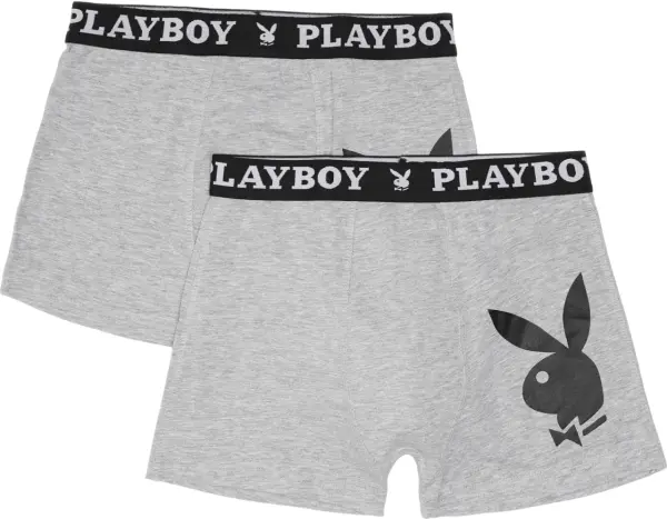 Труси (боксерки) Playboy ANNYA сірі (2 штуки) ANNYA-29