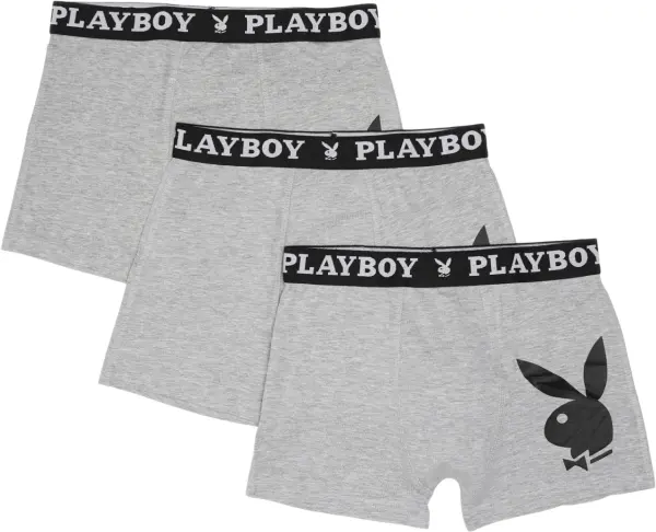 Труси (боксерки) Playboy ANNYA сірі (3 штуки) ANNYA-36