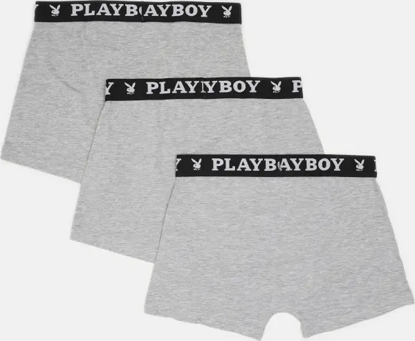 Труси (боксерки) Playboy ANNYA сірі (3 штуки) ANNYA-36