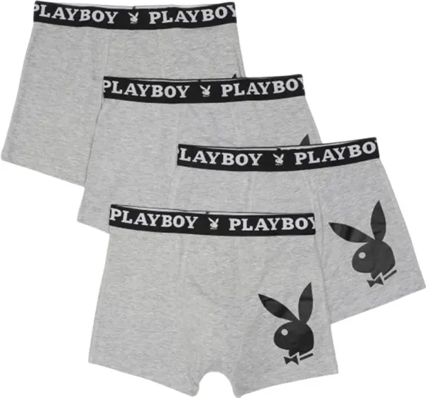 Трусы (боксерки) Playboy ANNYA серые (4 штуки) ANNYA-44