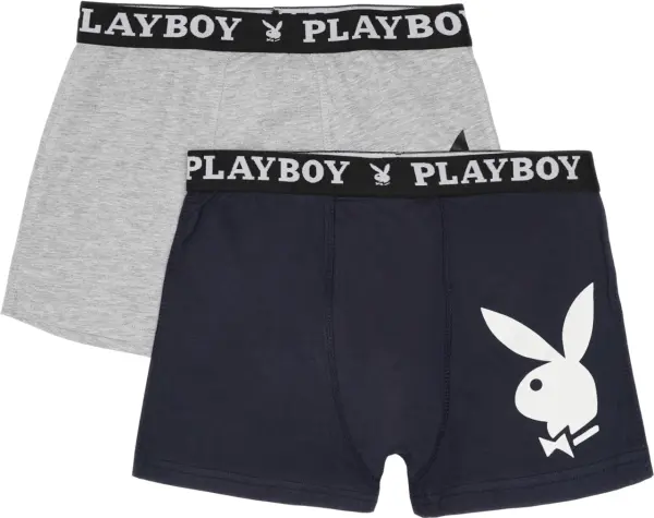 Трусы (боксерки) Playboy ANNYA темно-синие, серые (2 штуки) ANNYA-26