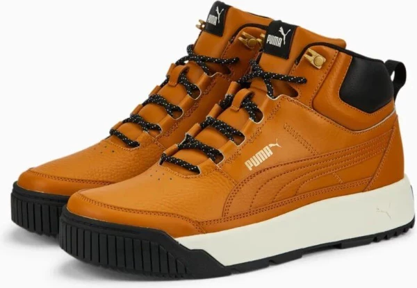 Ботинки Puma TARRENZ SB II коричневые 38639202