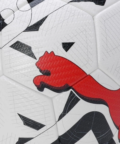 Футбольний м'яч Puma ORBITA 2 TB (FIFA QUALITY PRO) білий Розмір 5 083775-03