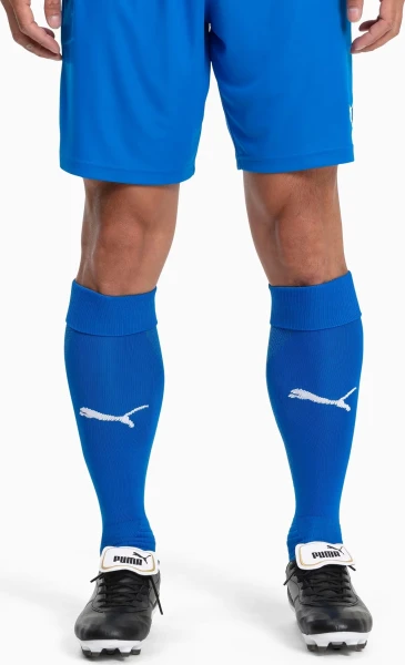 Гетри футбольні Puma TEAM LIGA SOCKS сині 703438-02